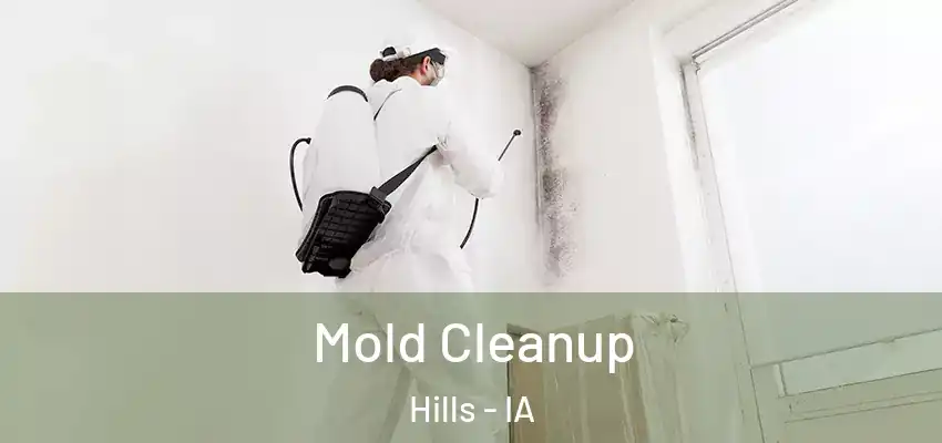  Mold Cleanup Hills - IA