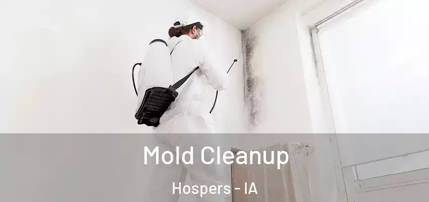Mold Cleanup Hospers - IA