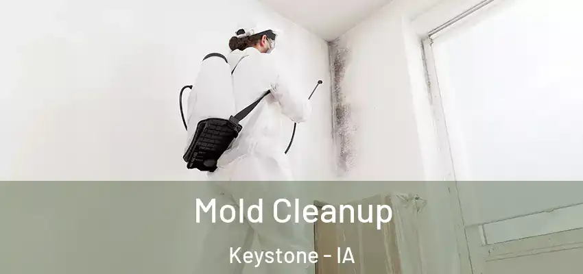  Mold Cleanup Keystone - IA