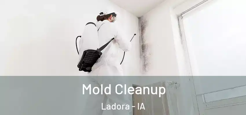  Mold Cleanup Ladora - IA