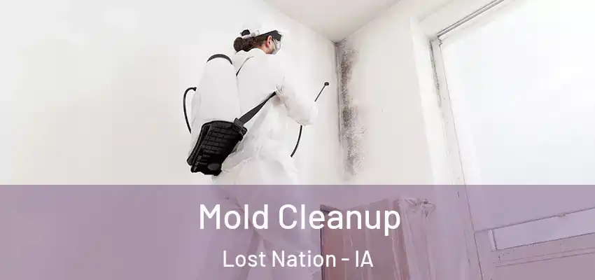 Mold Cleanup Lost Nation - IA