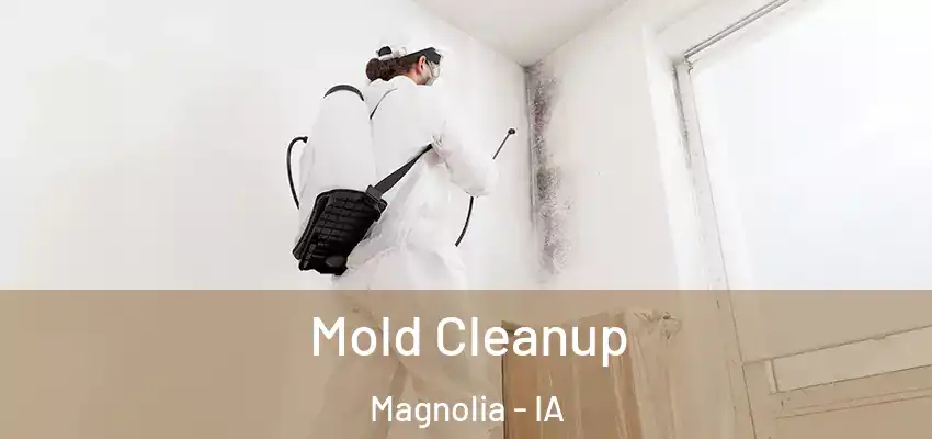Mold Cleanup Magnolia - IA