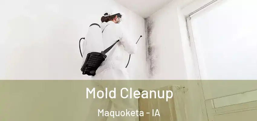 Mold Cleanup Maquoketa - IA