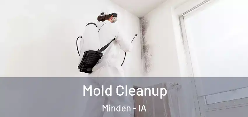  Mold Cleanup Minden - IA