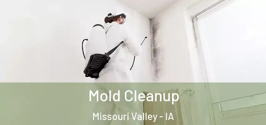  Mold Cleanup Missouri Valley - IA