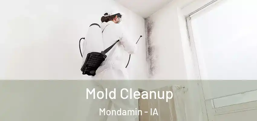 Mold Cleanup Mondamin - IA