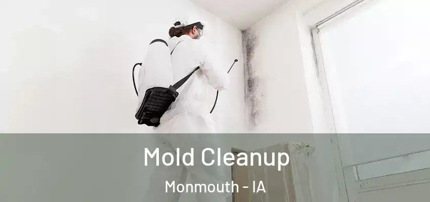 Mold Cleanup Monmouth - IA