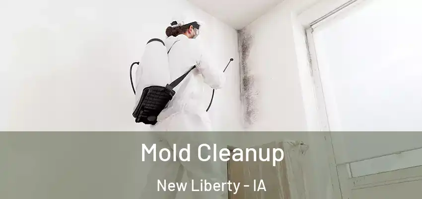 Mold Cleanup New Liberty - IA