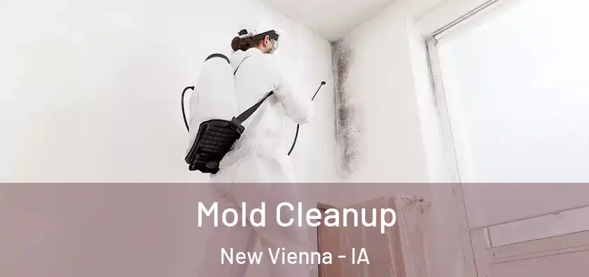 Mold Cleanup New Vienna - IA