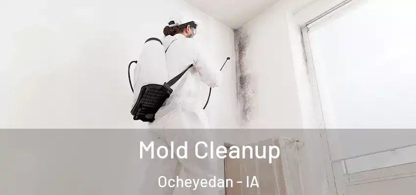  Mold Cleanup Ocheyedan - IA