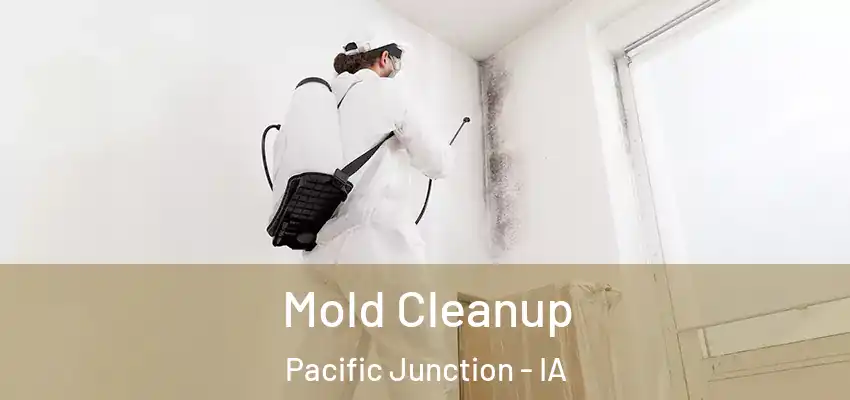  Mold Cleanup Pacific Junction - IA