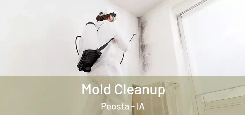 Mold Cleanup Peosta - IA