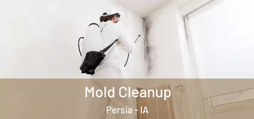  Mold Cleanup Persia - IA