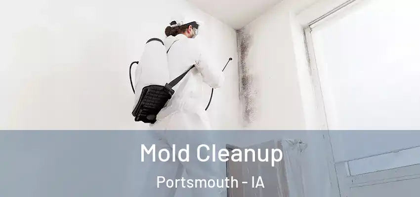  Mold Cleanup Portsmouth - IA