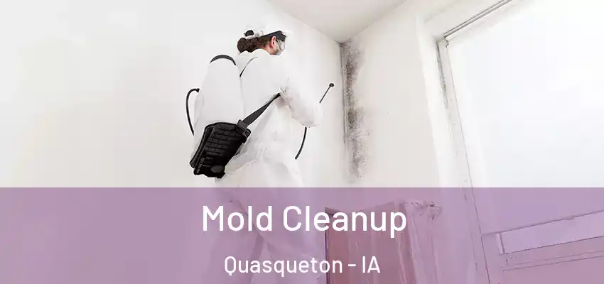  Mold Cleanup Quasqueton - IA