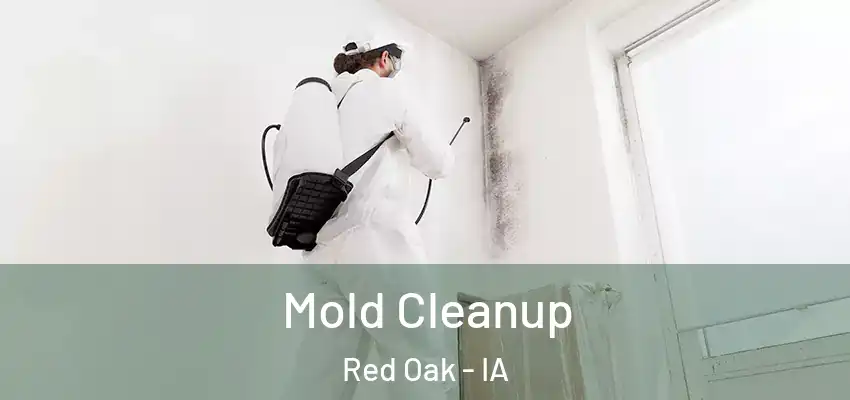  Mold Cleanup Red Oak - IA