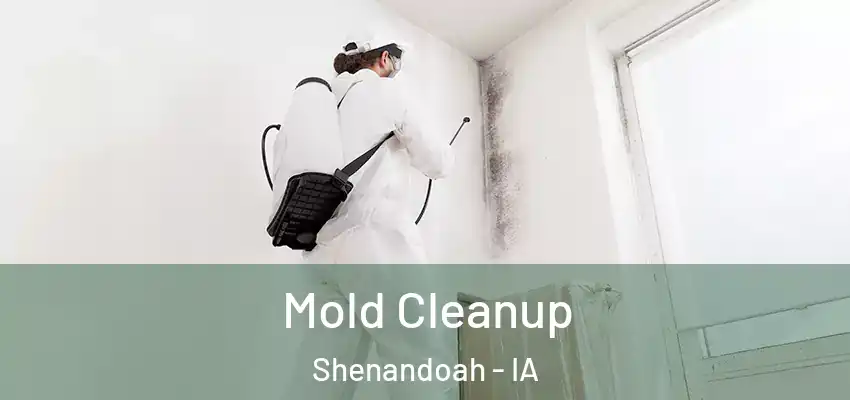 Mold Cleanup Shenandoah - IA