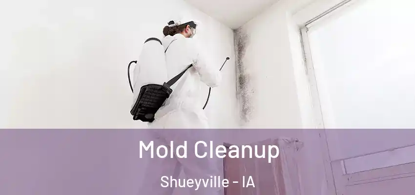  Mold Cleanup Shueyville - IA