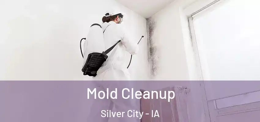 Mold Cleanup Silver City - IA