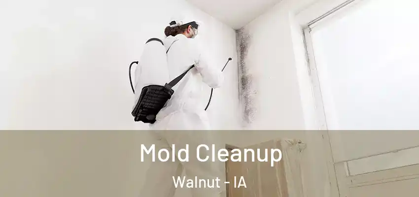  Mold Cleanup Walnut - IA