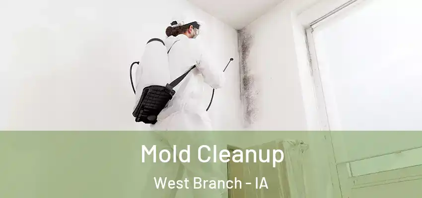 Mold Cleanup West Branch - IA