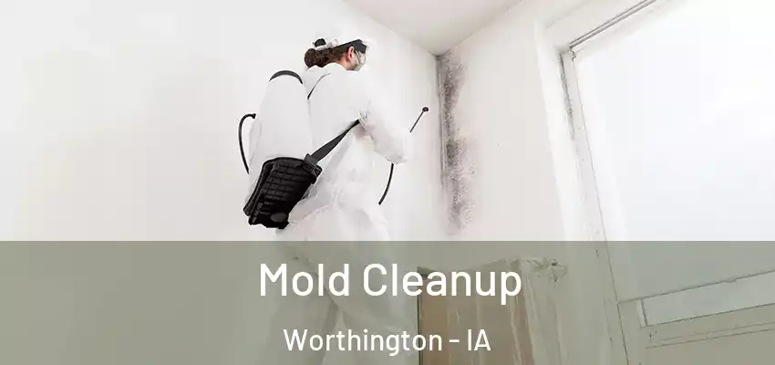 Mold Cleanup Worthington - IA