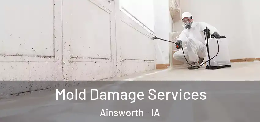  Mold Damage Services Ainsworth - IA