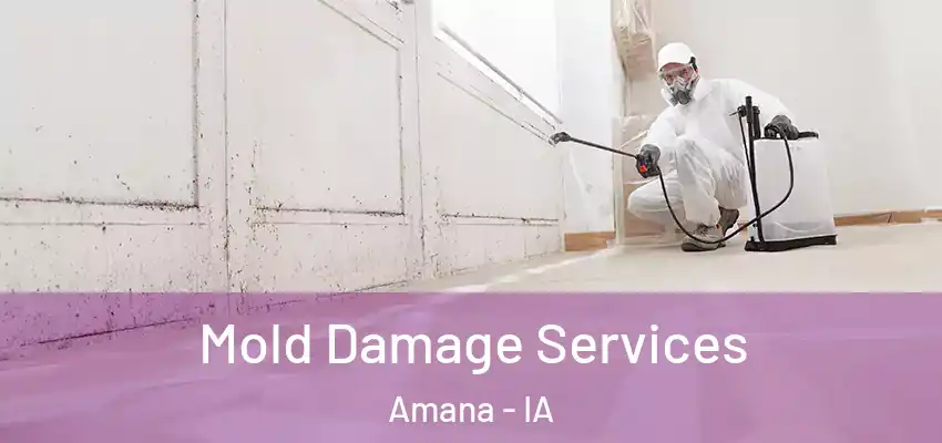 Mold Damage Services Amana - IA