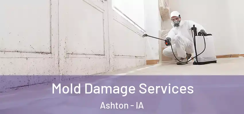Mold Damage Services Ashton - IA