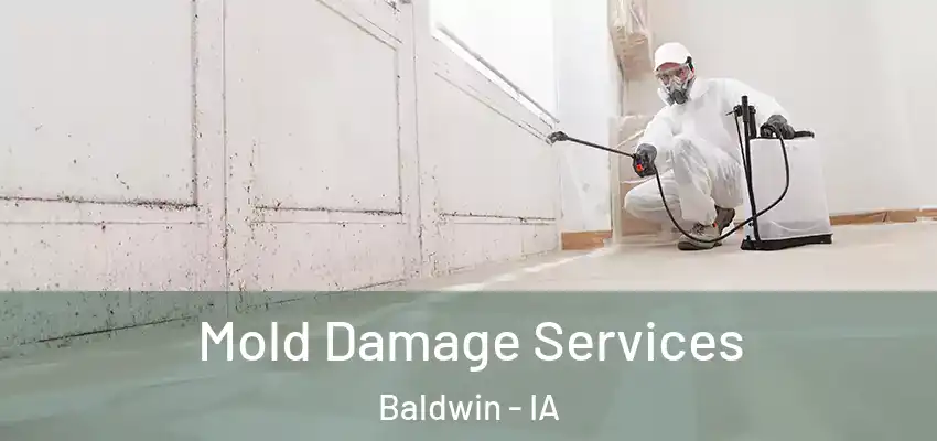  Mold Damage Services Baldwin - IA