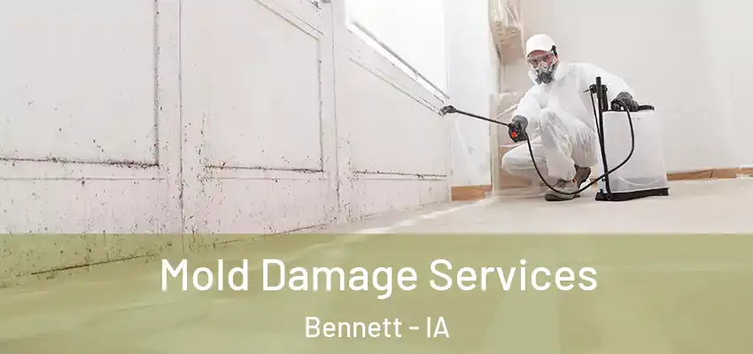  Mold Damage Services Bennett - IA
