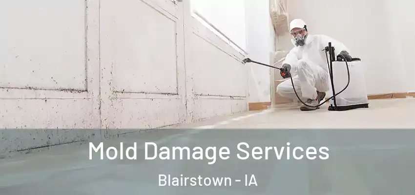 Mold Damage Services Blairstown - IA