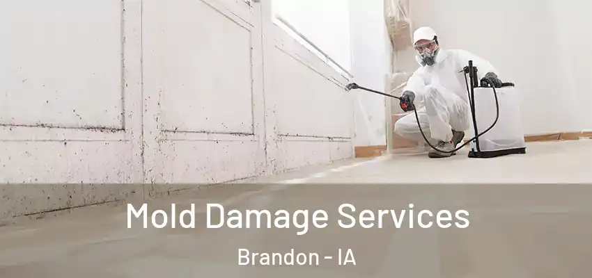 Mold Damage Services Brandon - IA