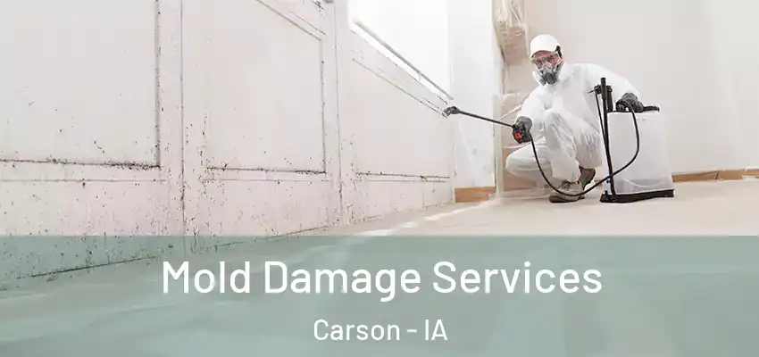 Mold Damage Services Carson - IA