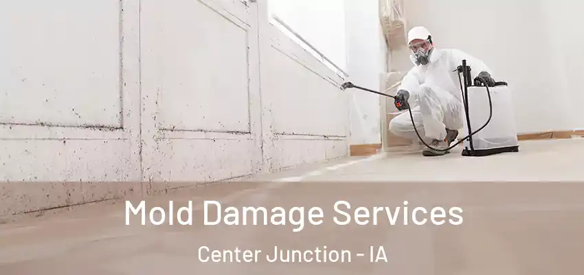 Mold Damage Services Center Junction - IA
