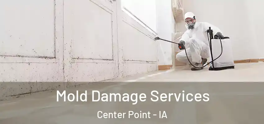 Mold Damage Services Center Point - IA