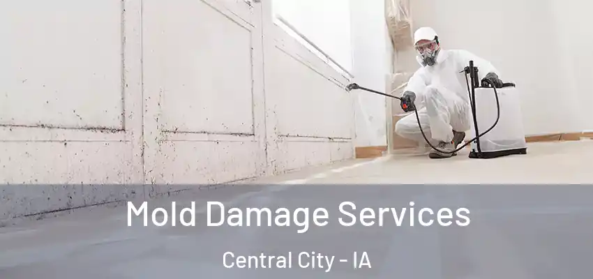 Mold Damage Services Central City - IA