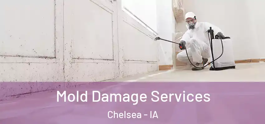 Mold Damage Services Chelsea - IA
