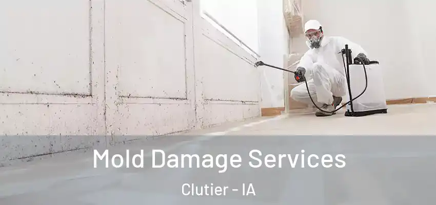 Mold Damage Services Clutier - IA