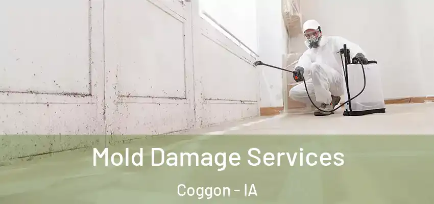 Mold Damage Services Coggon - IA