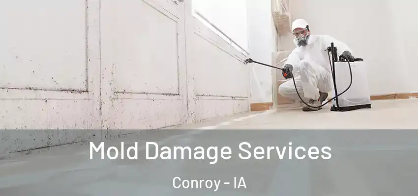  Mold Damage Services Conroy - IA