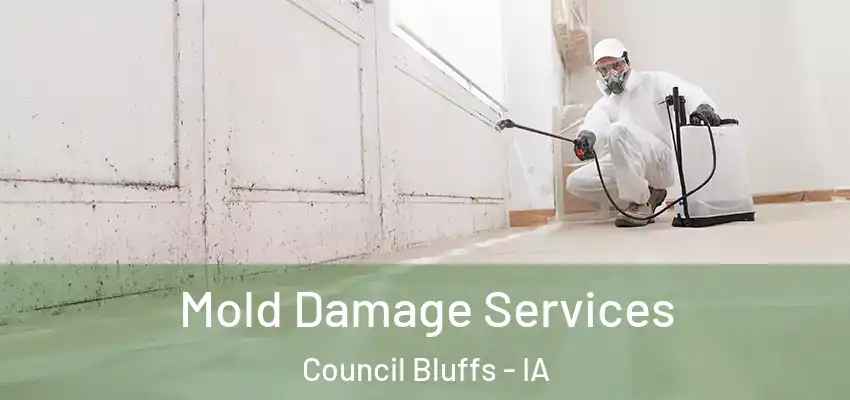 Mold Damage Services Council Bluffs - IA