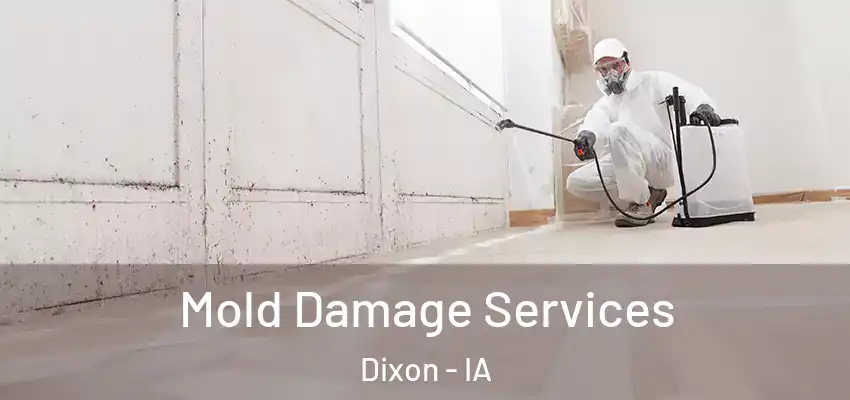 Mold Damage Services Dixon - IA