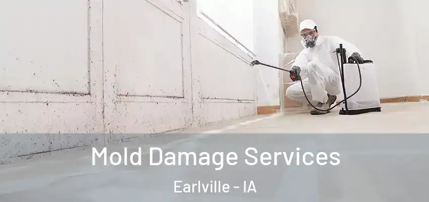 Mold Damage Services Earlville - IA