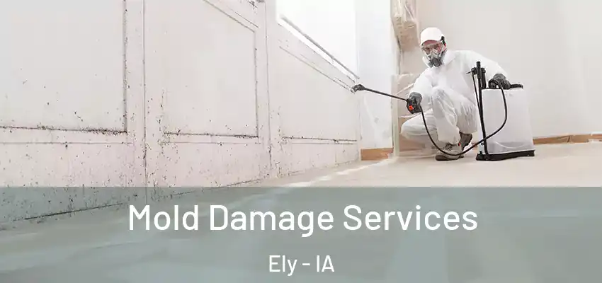  Mold Damage Services Ely - IA