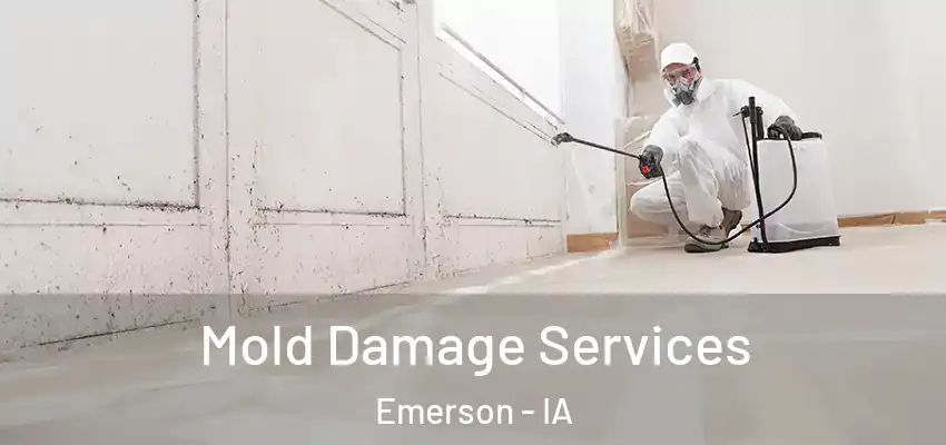  Mold Damage Services Emerson - IA