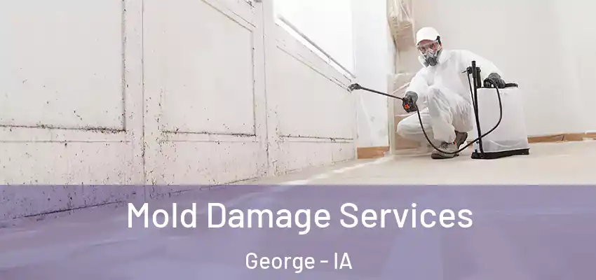  Mold Damage Services George - IA