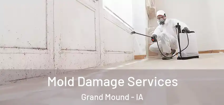 Mold Damage Services Grand Mound - IA