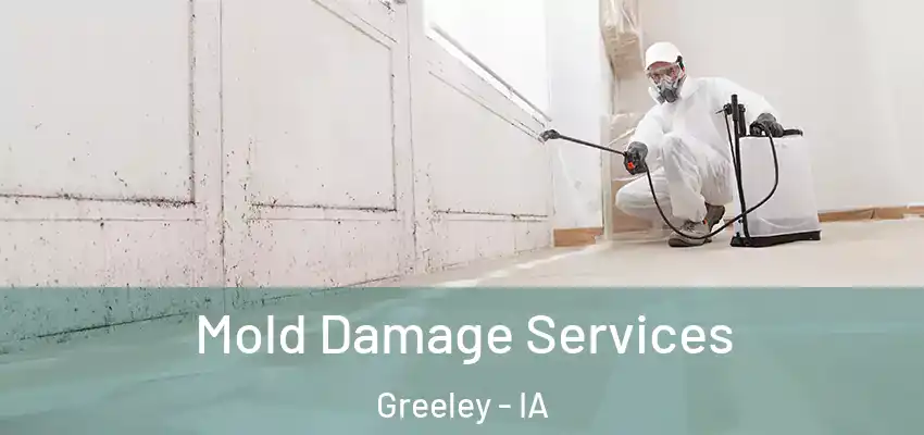 Mold Damage Services Greeley - IA