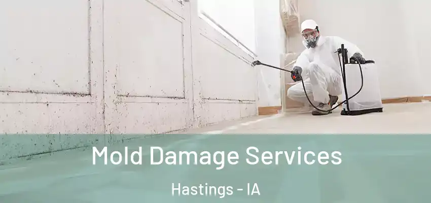 Mold Damage Services Hastings - IA